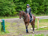 CH290522-33 - Charlie Hills Stable Visit